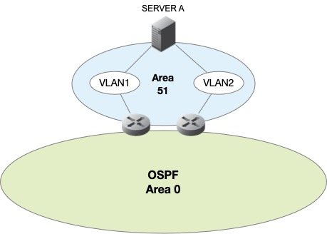 Anycast DNS using OSPF layout