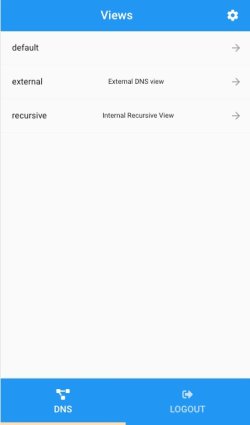 Mobile Client DNS views Panel