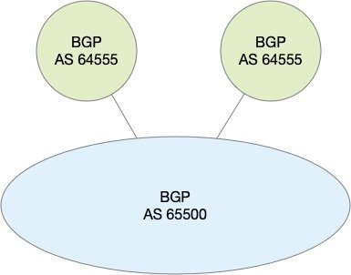 Anycast DNS BGP
