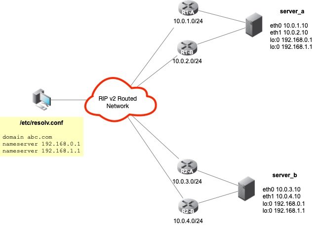 Anycast DNS using RIP